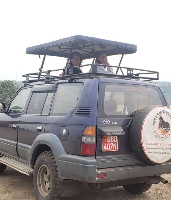 Tips for hiring a land cruiser in uganda